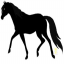Logo de www.selariauniversal.com.br